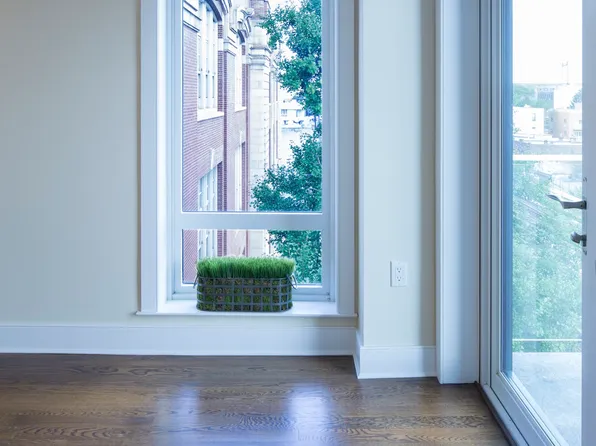 23-88 31st Street image 6 of 17