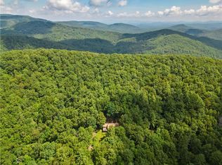 1002 Little Creek Rd, Cherry Log, GA 30522