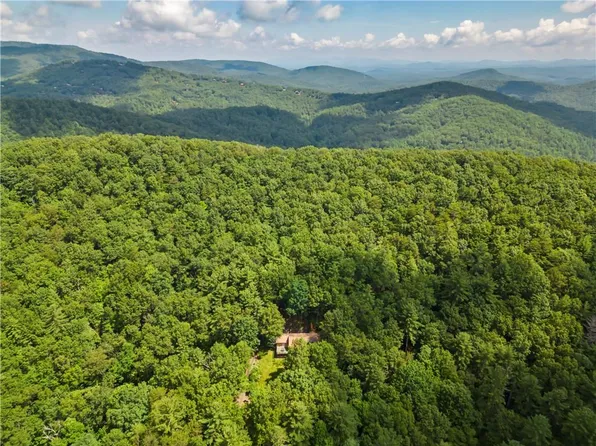 1002 Little Creek Rd, Cherry Log, GA 30522