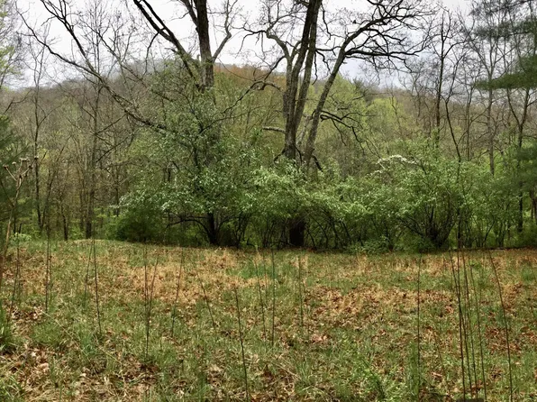 12949 Cass Rd, Cass, WV 24927