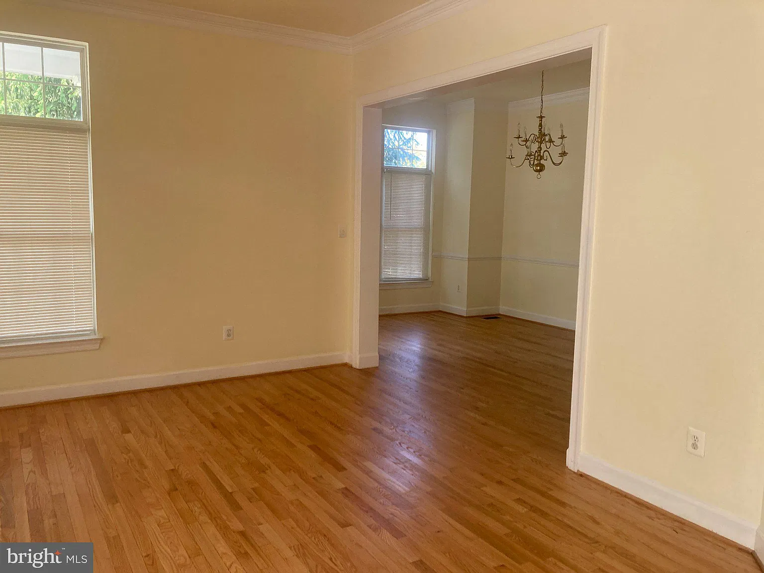 5 bed, 5.5 bath, 3171 sqft, $5,500 — Photo 3