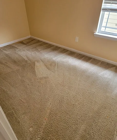 743 Hot Springs Trl — Photo 7