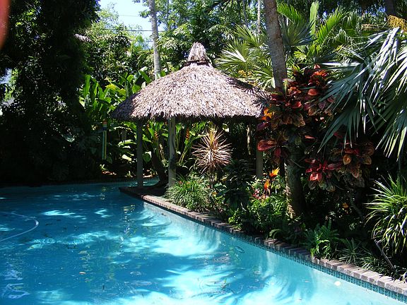 Tiki hut and lap pool
