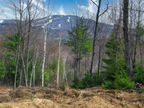 00 Timothy Road, Sunapee, NH 03782