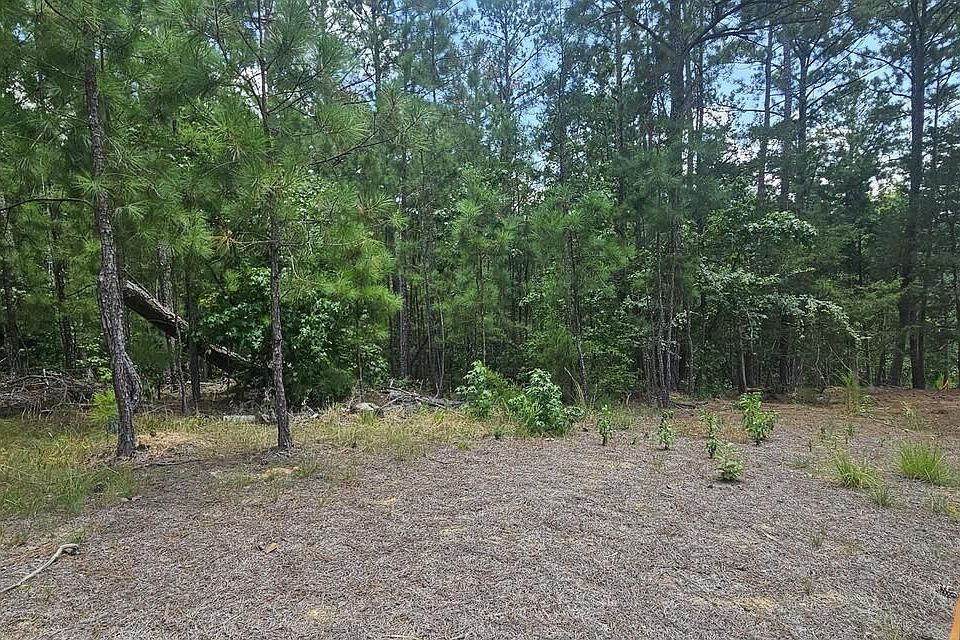 2nd image of LOT 2 Amelia Dr