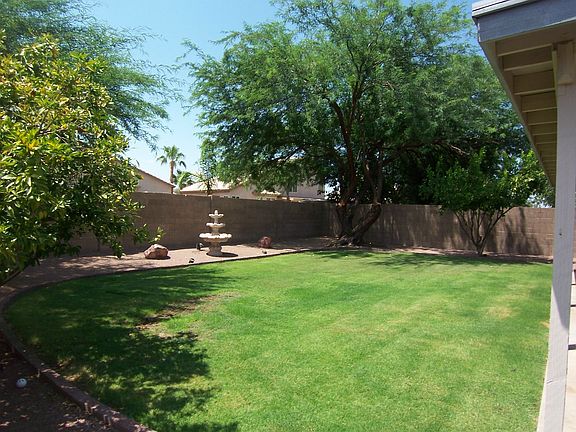 Lush back yard