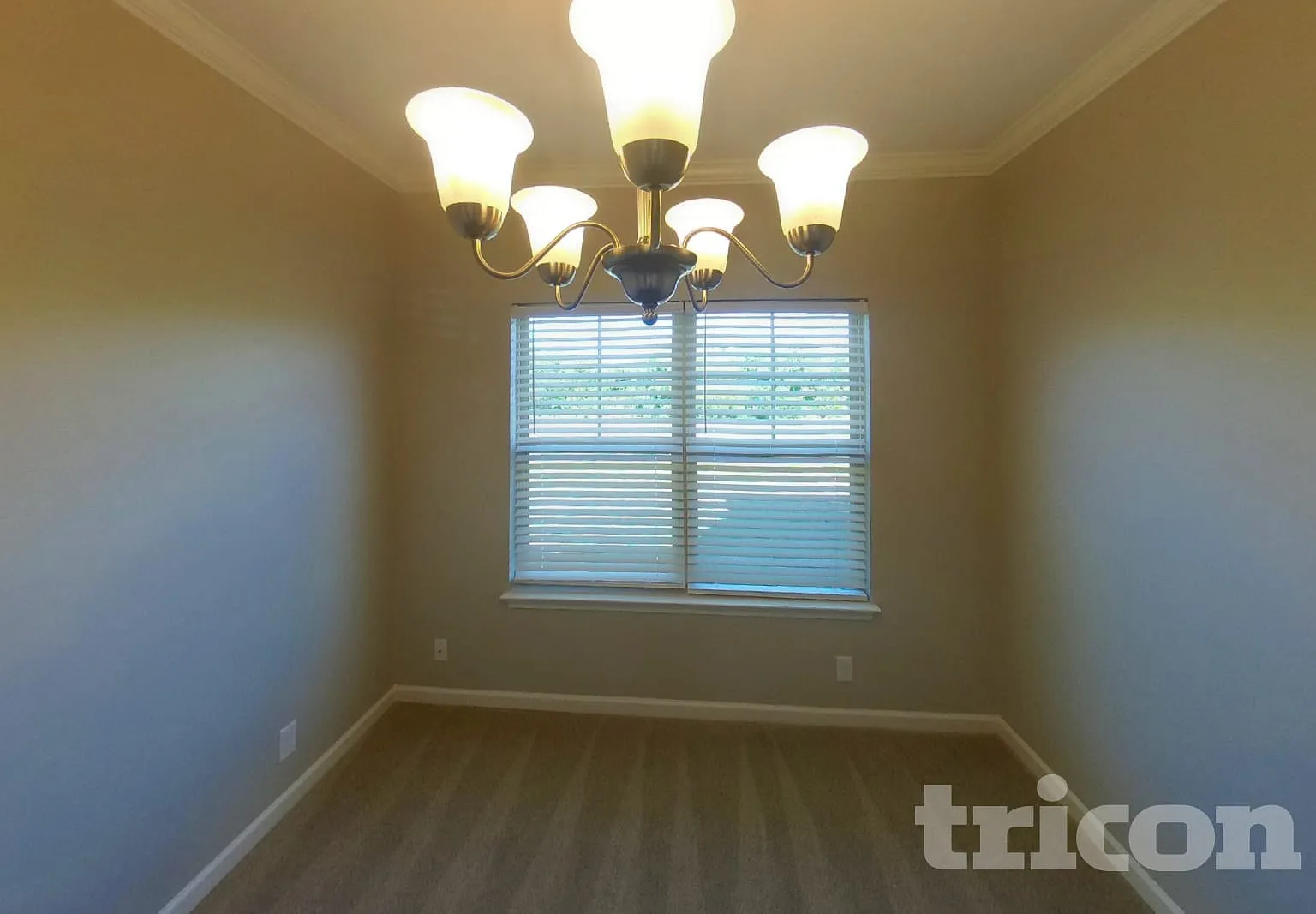 1710 Alysheba Run Murfreesboro TN — Photo 4
