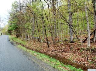 100 Cotter Rd, Old Chatham, NY 12136