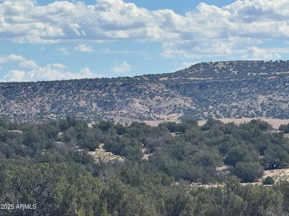 Lot 746 Woodland Valley Ranch -- #746, St Johns, AZ 85936
