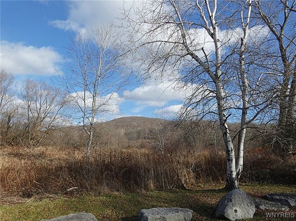 Cooney Rd #44, Franklinville, NY 14737