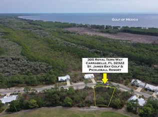 305 Royal Tern Way, Carrabelle, FL 32322
