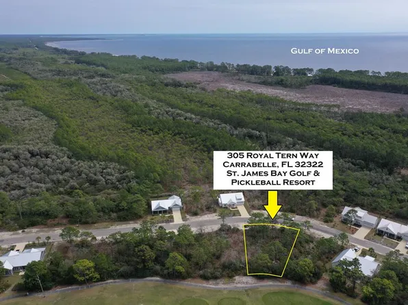 305 Royal Tern Way, Carrabelle, FL 32322