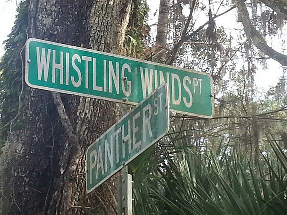 5th image of Whistling Winds And Panther St