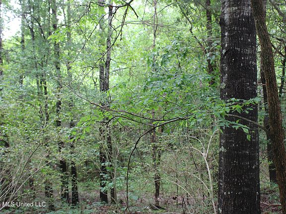 5th image of 806 Woods Rd