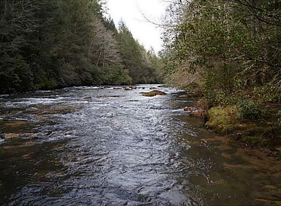 5th image of 679 Rivermist Dr