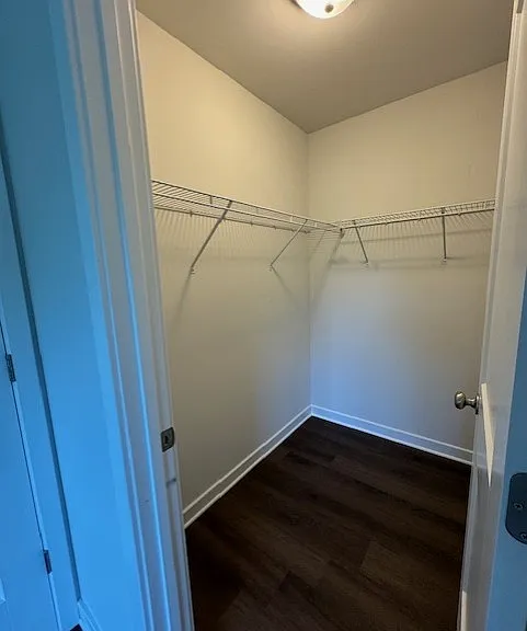 121 Europa Way — Photo 18