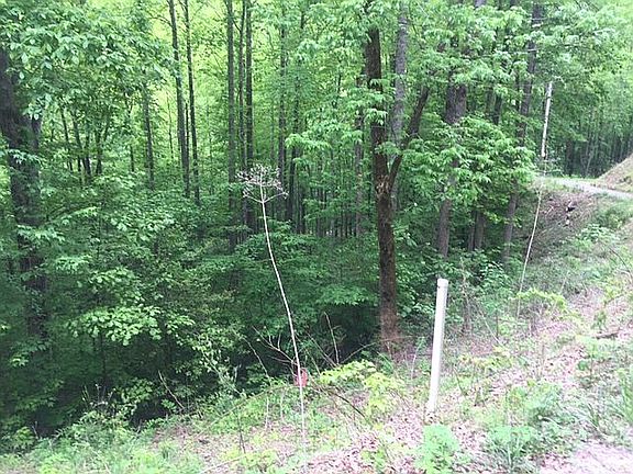 3rd image of Western Nc Cabin Lots