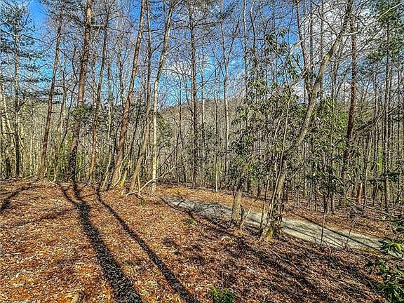 2nd image of 0 Ts Jarrard Rd #4