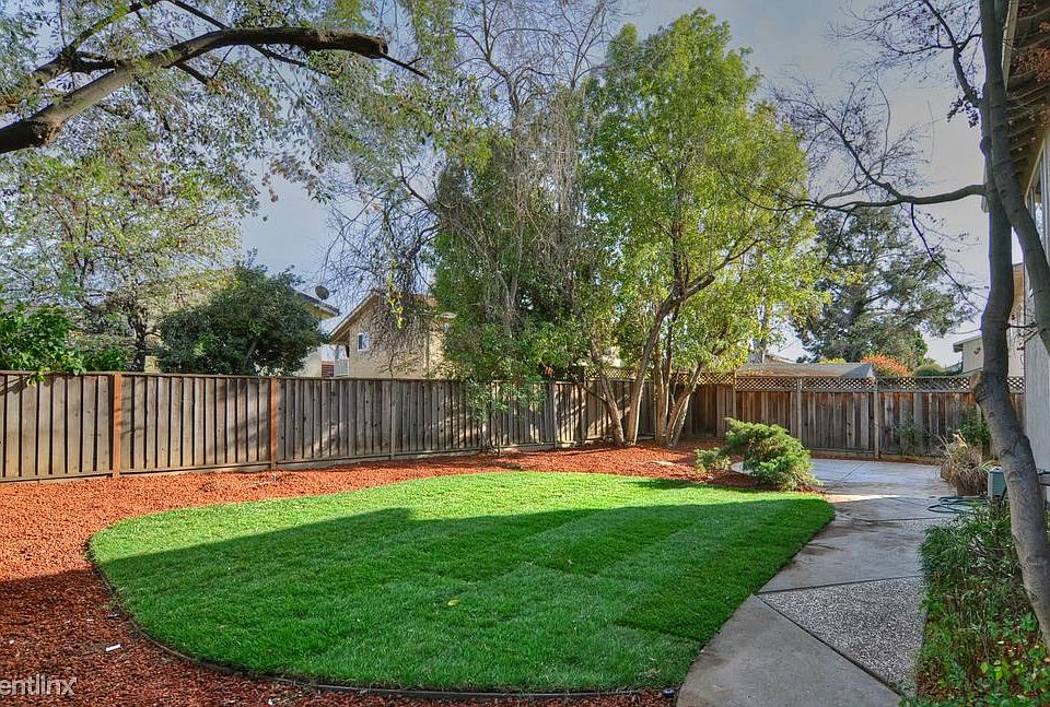 Fenced Back Yard