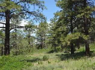 25 Rocky Ridge 3, Pagosa Springs, CO 81147