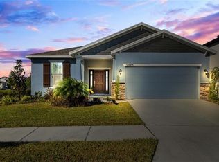 33055 Frogs Leap Ln, Wesley Chapel, FL 33545