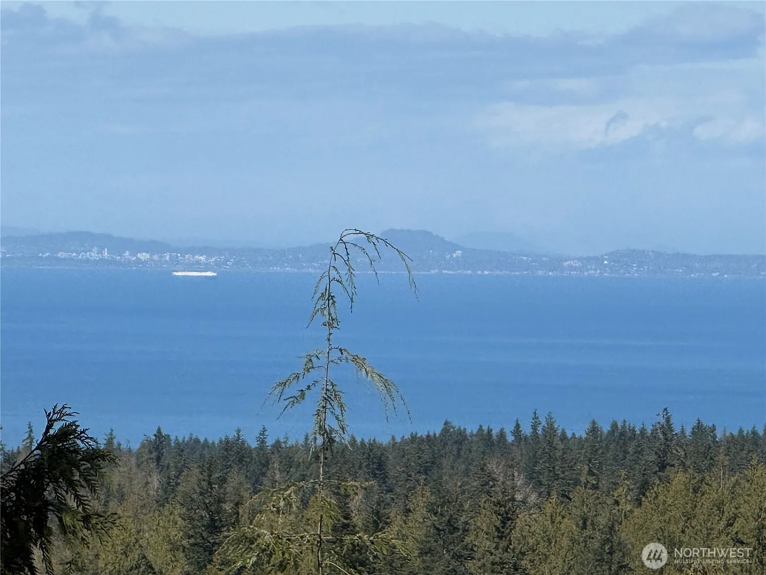 445 Watershed Road photo 1