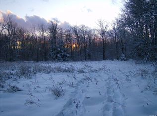 Martinfeld Rd, Wawarsing, NY 12435