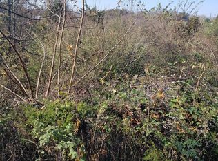 Chambers Rd, Jacksboro, TN 37757