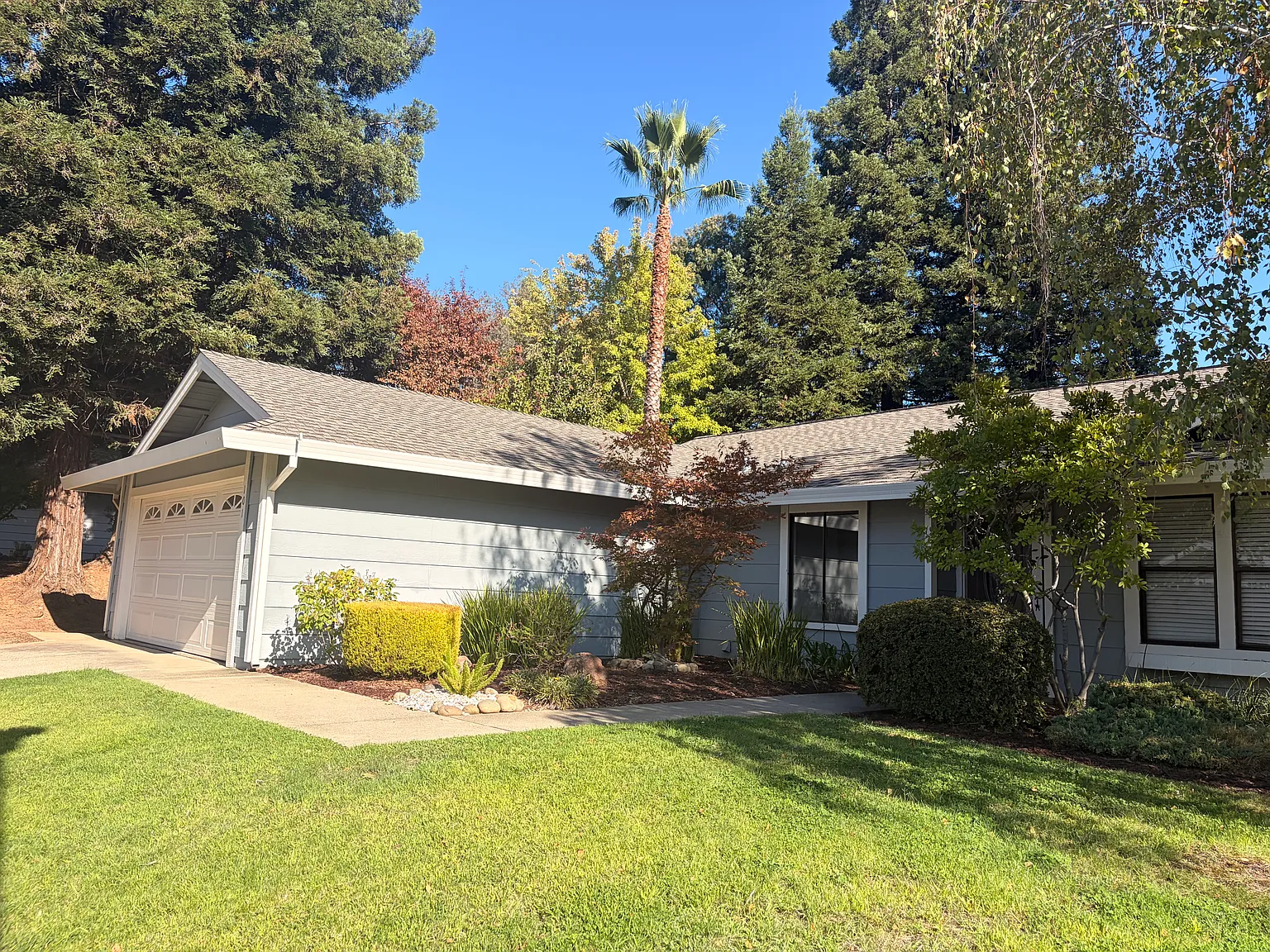 3 bed, 1345 sqft, $3,100 — Photo 2