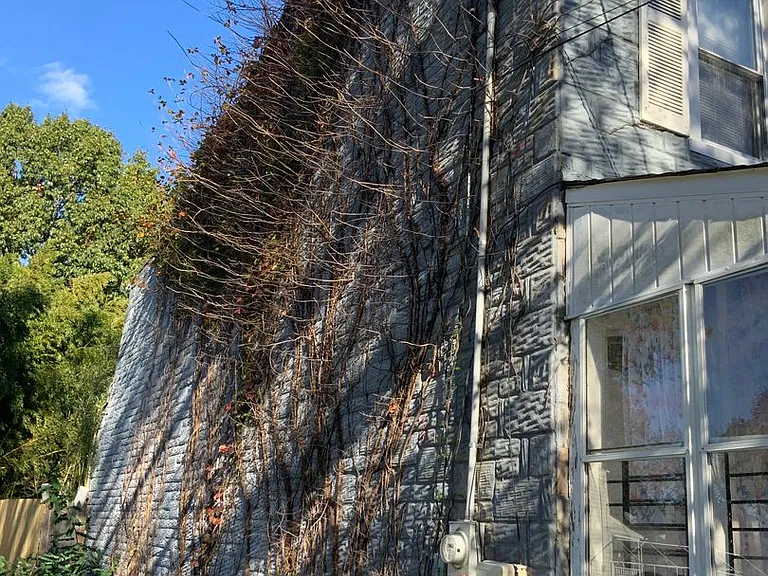 1212 William St — Photo 10