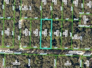 33479 August Ave, Webster, FL 33597