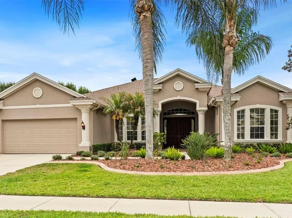 23316 Gracewood Cir, Land O Lakes, FL 34639
