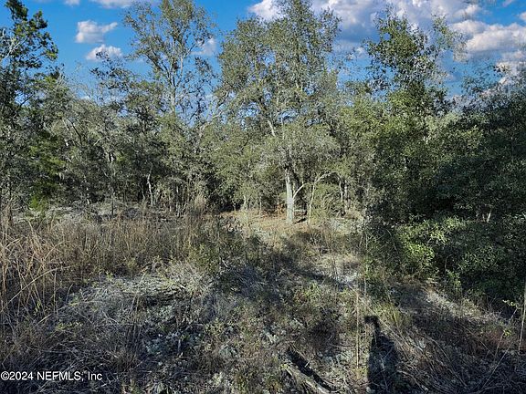 3rd image of 00 LAKE LUCY Court