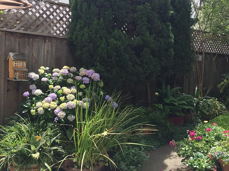 garden