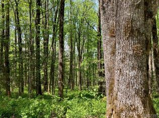 Barratt Ln, Highlands, NC 28741