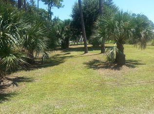 #0 Joe Dr, Panacea, FL 32346