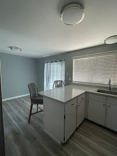 1 bed, 500 sqft, $1,350 — Photo 4