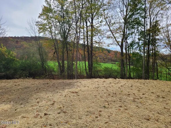 L10 Horton Road, Cambridge, NY 12834