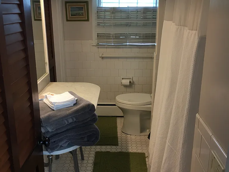 172 Eustis Ave — Photo 13