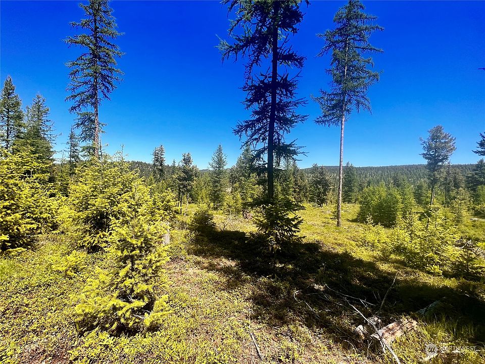 101 Grafton Road, Wauconda, WA 98859 MLS 2043746 Zillow