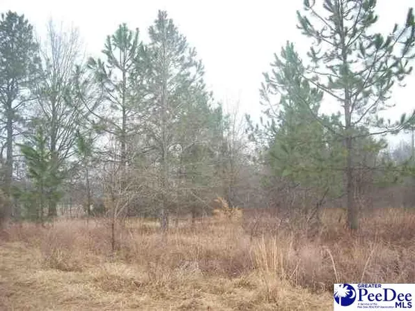 LOT 7 Eight 9 & 10 Cloverdale Rd, Hartsville, SC 29550