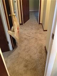 5th image of 3715 Barbarosa Dr