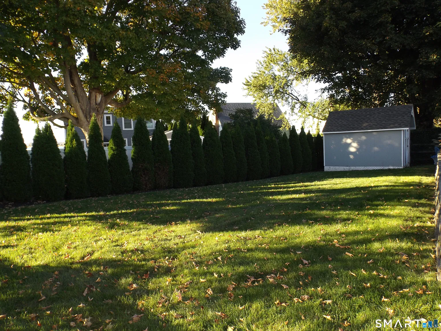 3 bed, 1.5 bath, 2219 sqft, $5,500 — Photo 4