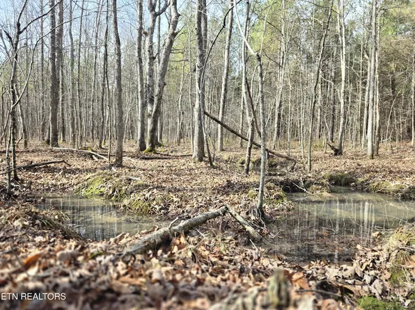 0 Cottonwood Trl, Sunbright, TN 37872