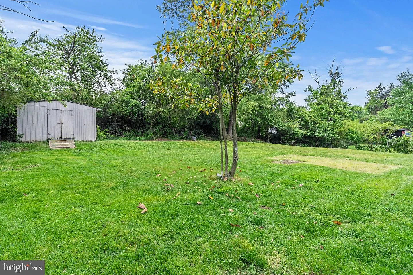 3 bed, 1.5 bath, 1222 sqft, $3,000 — Photo 3