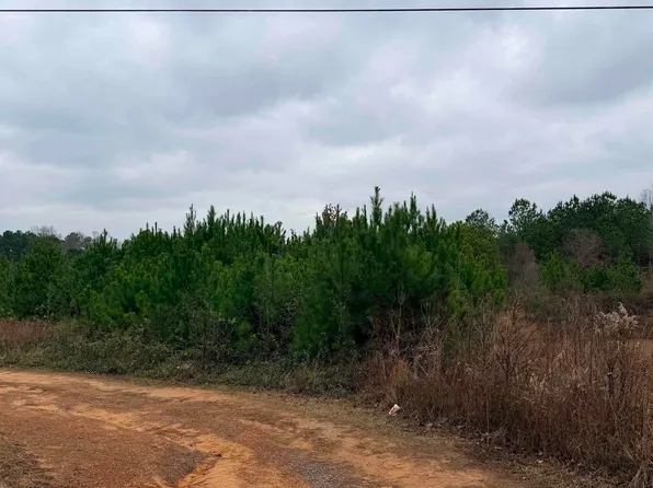 0 Lazy Y Rd #0, Hayden, AL 35079