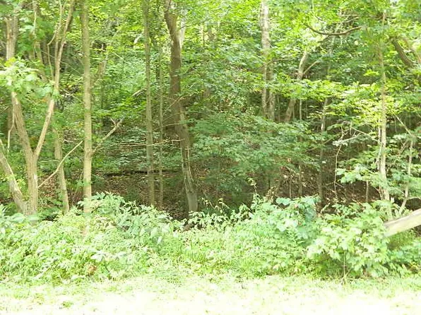 Johnston Rd, Marion, VA 24354