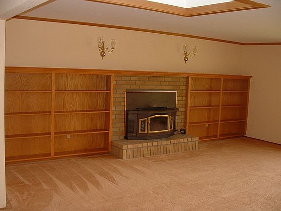 Fireplace_Insert