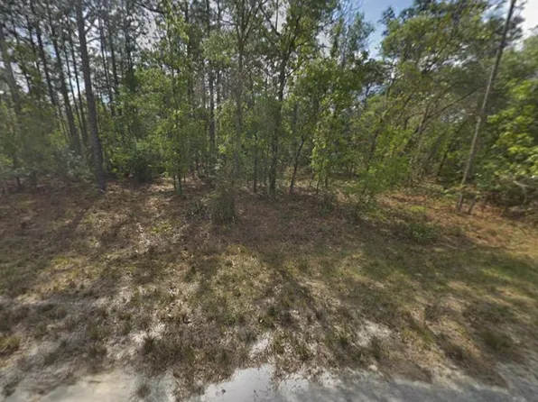 Tbd Resort Avenue, Weeki Wachee, FL 34614