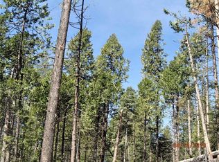 1157 Spring Valley Way, Arnold, CA 95223